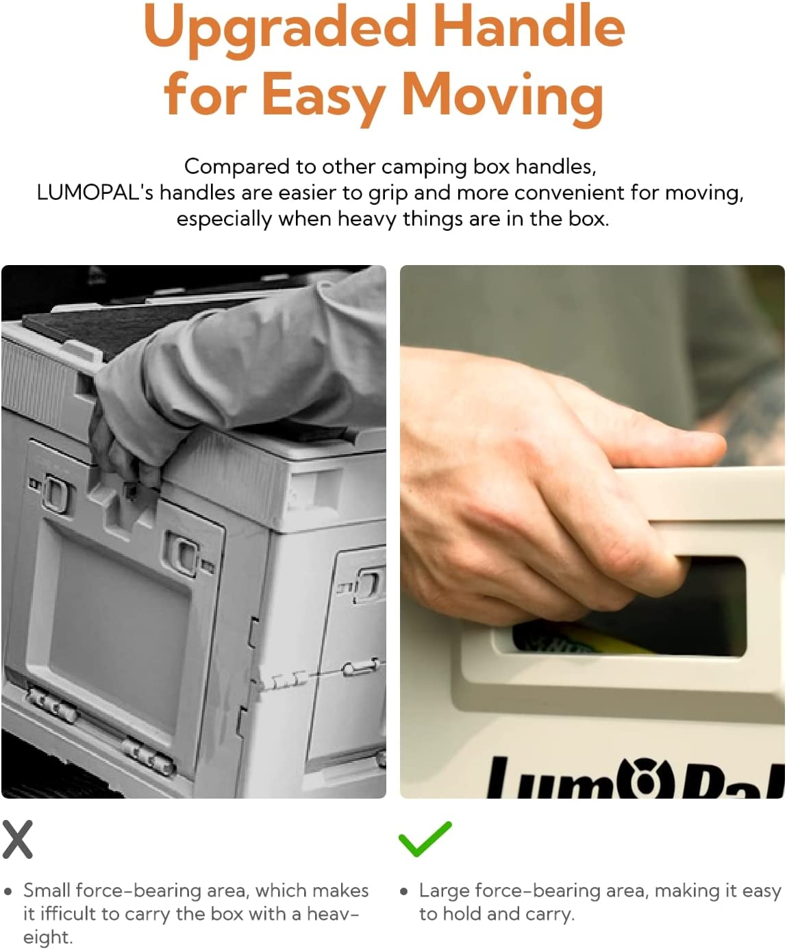 Lum box 47qt Storage Box